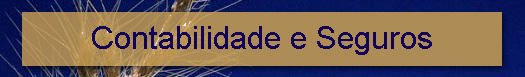 Contabilidade e Seguros