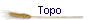 Topo